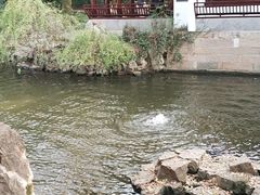 -汇龙潭
