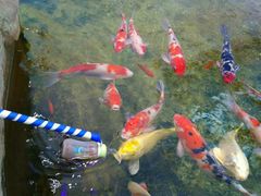 -鸿通城购物中心