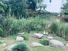 -得丘礼享谷·玉兰苑