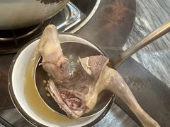 -鸽鸟轩(石岐店)