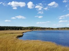 -塞罕坝国家级自然保护区