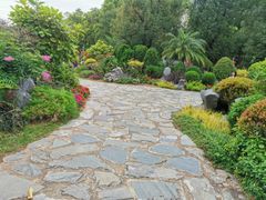-东莞植物园