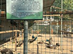-保定市动物园