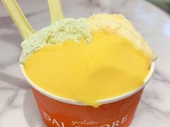 斑斓椰子-Dal Cuore 达可芮冰淇淋(陕西北路店)