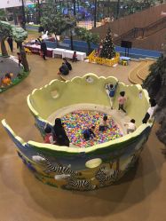 -卡通尼·Safari非洲探索乐园·生日会(金桥国际商业广场店)