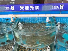 -聚贤莊