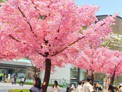 -东莞松山湖万象汇