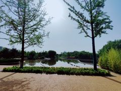 -西安浐灞国家湿地公园