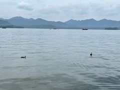-西湖游船
