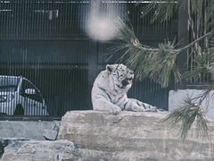 -太原动物园