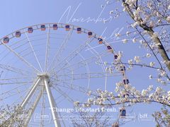 -顾村公园