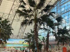 -中国死海旅游度假区