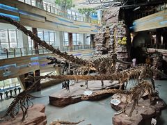 -安徽省地质博物馆