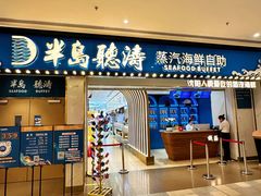 -半岛听涛蒸汽海鲜自助(K11店)