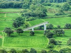 -风云岭森林公园