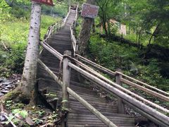 -凤凰山国家森林公园