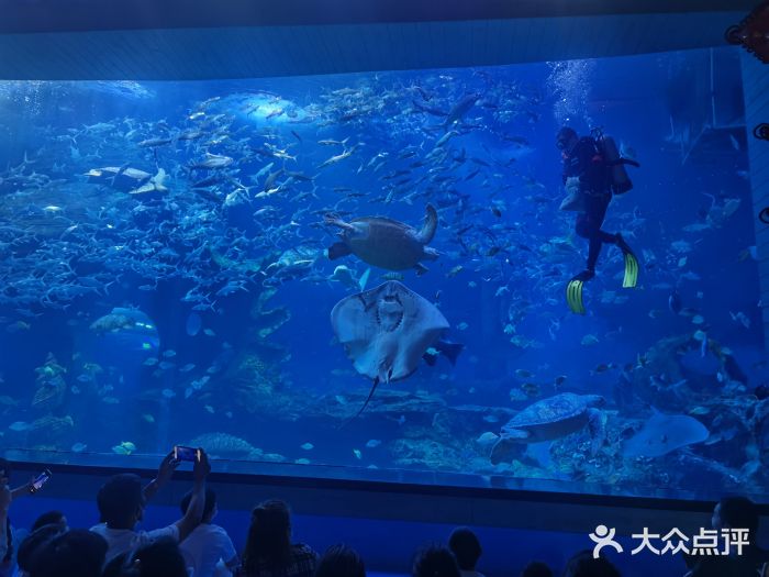 多彩贵州城极地海洋世界图片