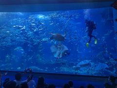 -多彩贵州城极地海洋世界