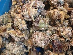 -东河市场