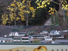 -四明山国家森林公园