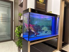 -御筋堂正骨推拿(星源国际店)