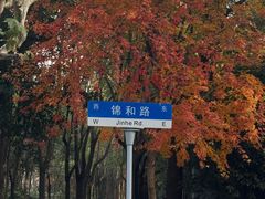 -上海市浦东外事服务学校