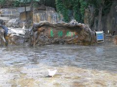 -燕塞湖鸟语林景区