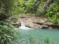 -广州白江湖森林公园