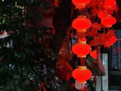 -老村长大锅炖羊肉(榆林大道店)