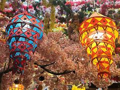 -吉祥圣雪藏餐