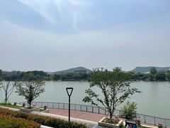 -羊山湖公园