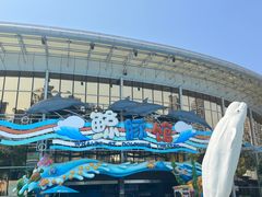 -海合安成都极地海洋公园