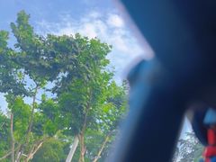 -长春观斋补堂素菜馆