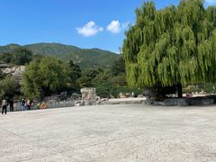 -北京西山国家森林公园