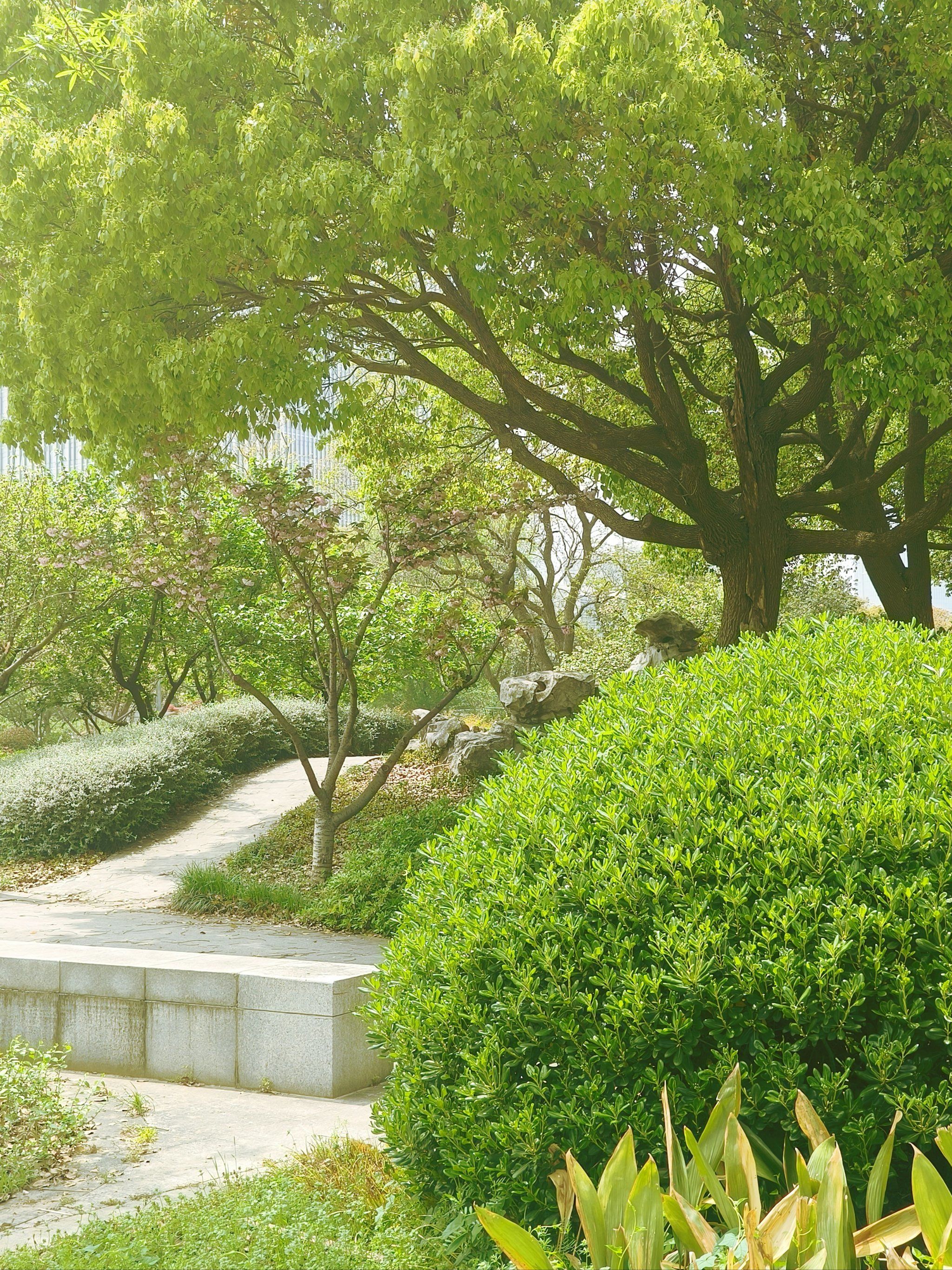 景城邻里中心外的绿肺小公园