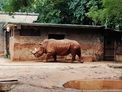 -昆明动物园