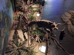 -自贡恐龙博物馆