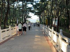 -林海公园