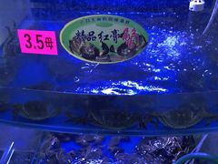 -祥鹤龙虾螃蟹