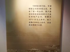 -平安（深圳）金融教育培训中心