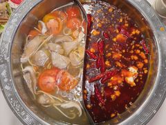 -朱氏胖子烂火锅(洪崖洞店)