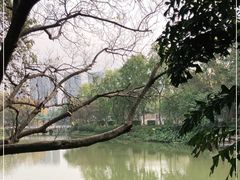-柳侯公园