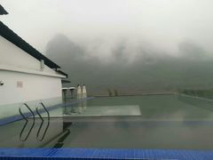 -遇龙河大樟树农家乐