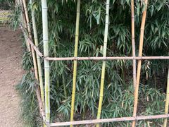 -沐仙湖湿地公园