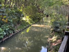 -同里国家湿地公园