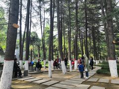-陕西师范大学(雁塔校区)