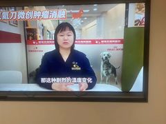 -御宝贝24h宠物医院·转诊中心·CT核磁血透中心(厦门总院)