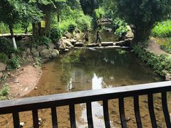 -重庆彩云湖湿地公园