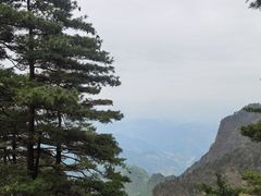 -秦岭天竺山景区