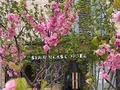 -星巴克(北辰西路店)